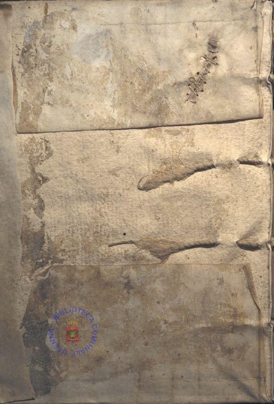 MEDICINE LIBER PRIMUS