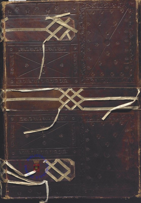 Codice diplomatico della città di Castrogiovanni 1446-1818 [Vrbs in expugnabilis Enna]