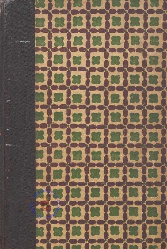 SEZ. SAV. 19BIS - SINGOLARI AVVENTURE. NINO SAVARESE. 1936