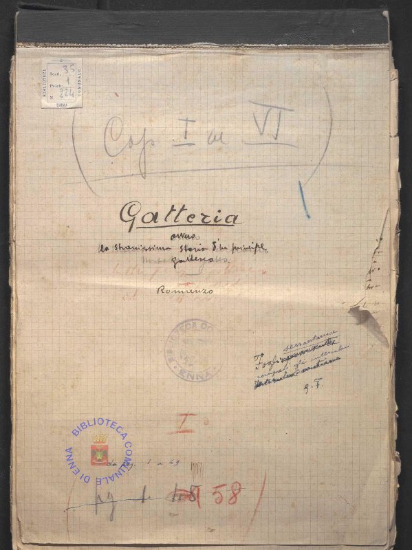 SEZ.SAV.35.1.224 - MANOSCRITTO “GATTERIA”. NINO SAVARESE. 1925