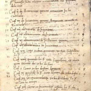 Cm.Ms.B.10 - CARACCIOLO, ALFONSO-LIBRO DE CITRERIA COMPOSTO DA ALFONSO CARACCIOLO