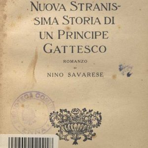 SEZ. SAV. 14 - GATTERIA. NUOVA STRANISSIMA STORIA DI UN PRINCIPE GROTTESCO. NIN0 SAVARESE. 1925