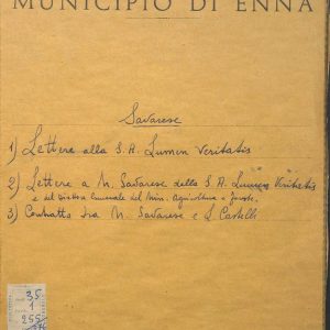 SEZ.SAV. 35.1.255 - LETTEREDOCUMENTI DI NINO SAVARESE