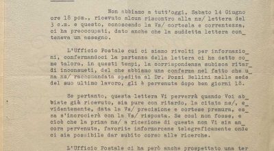 SEZ.SAV. 35.1.272 – LETTEREDOCUMENTI DI NINO SAVARESE