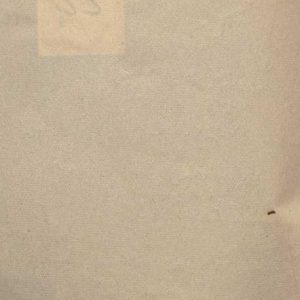 SEZ.SAV. 35.1.233 - APPUNTI. NINO SAVARESE