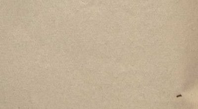 SEZ.SAV. 35.1.233 – APPUNTI. NINO SAVARESE