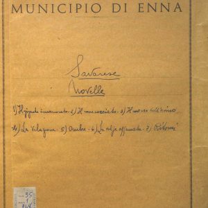 SEZ.SAV. 35.1.248 - NOVELLE. NINO SAVARESE