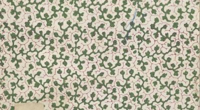 SEZ.SAV. M. 35.1.1 – LA SCELTA, COMMEDIA IN TRE ATTI. FEDERICO SAVARESE