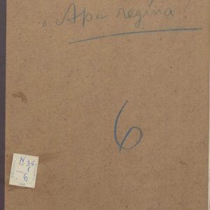 SEZ.SAV. M. 35.1.6 - API E VESPE. FEDERICO SAVARESE