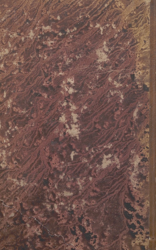 CM.16.A.22 – NUOVO DIZIONARIO ISTORICO OVVERO ISTORIA IN COMPENDIO. COMPOSTO DA UNA SOCIETA’ DI LETTERATI. 1794. TOMO XXII