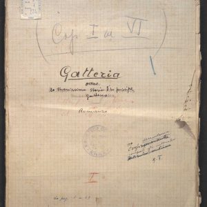 SEZ. SAV.35.1.224 - MANOSCRITTO GATTERIA. NINO SAVARESE. 1925