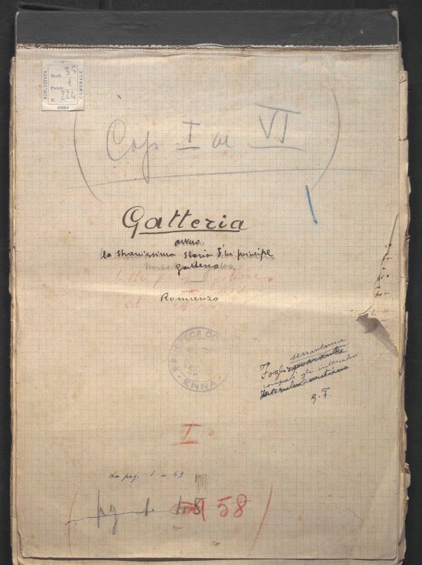 SEZ. SAV.35.1.224 - MANOSCRITTO GATTERIA. NINO SAVARESE. 1925