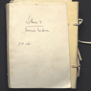 Littara Vincenzo Ennensis Historie